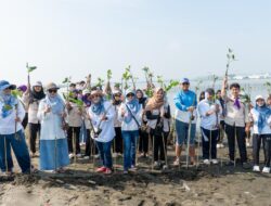 Rayakan Milad ke-18, FKG Unissula Tanam 1.800 Mangrove